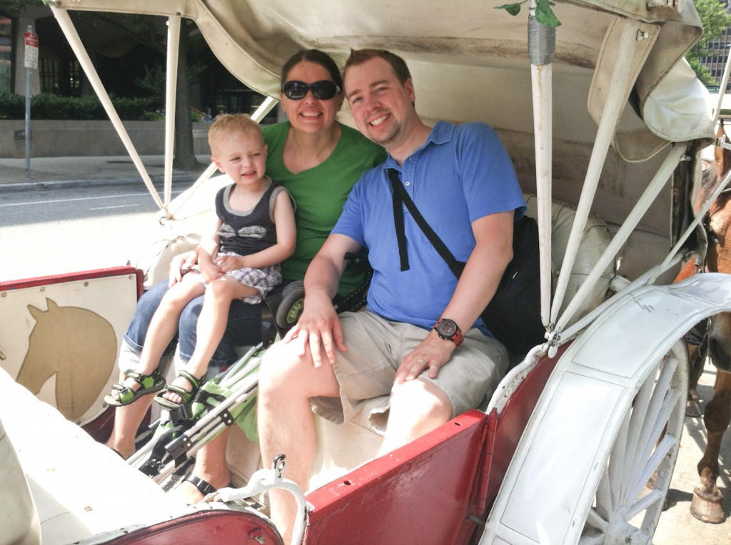 Carriage ride.