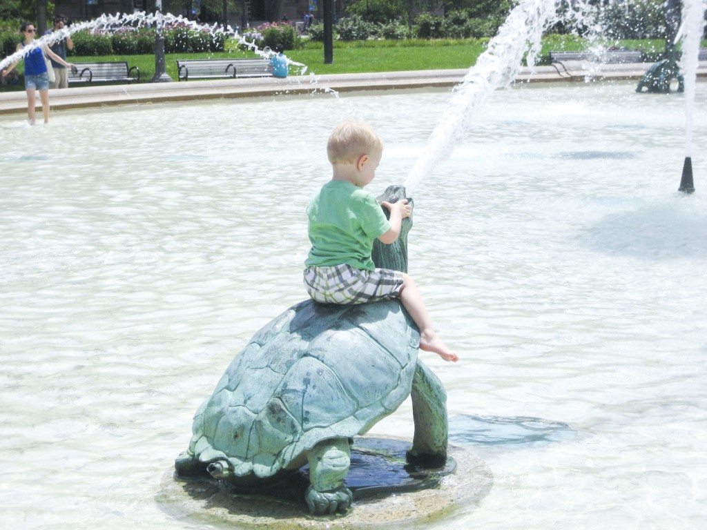 Turtle riding.