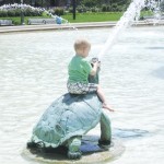 Turtle riding.