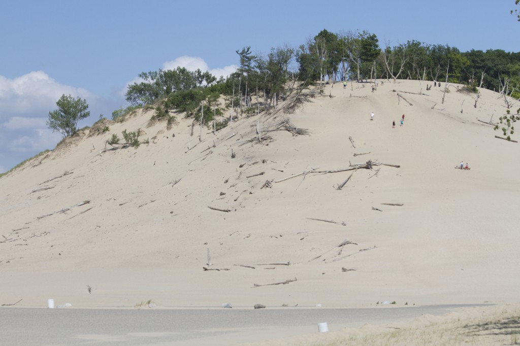 Mountain Dune