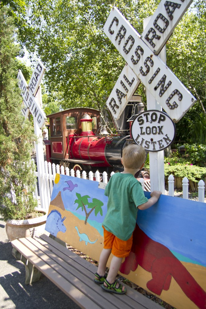 Checking out the train.