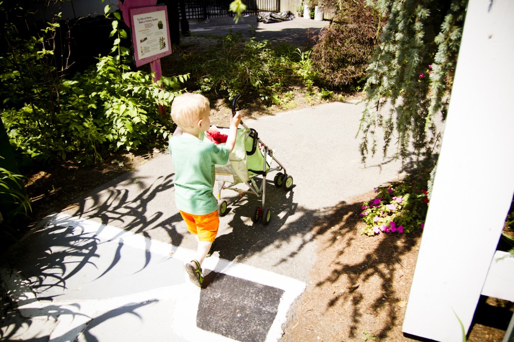 Strollin’